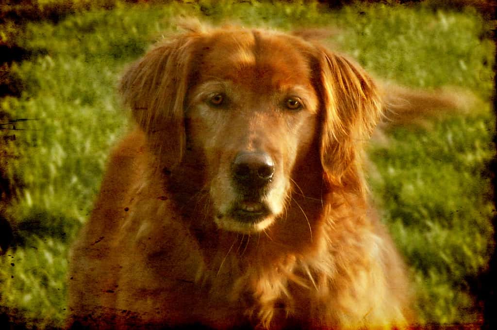 2335635858_75aefdc001_b