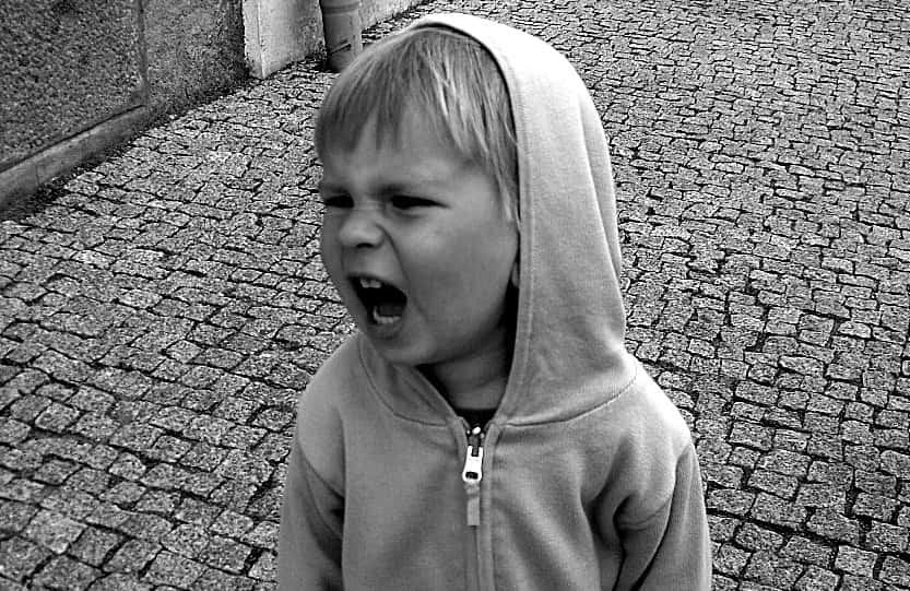 3766009204_589788ea4b_o (1)