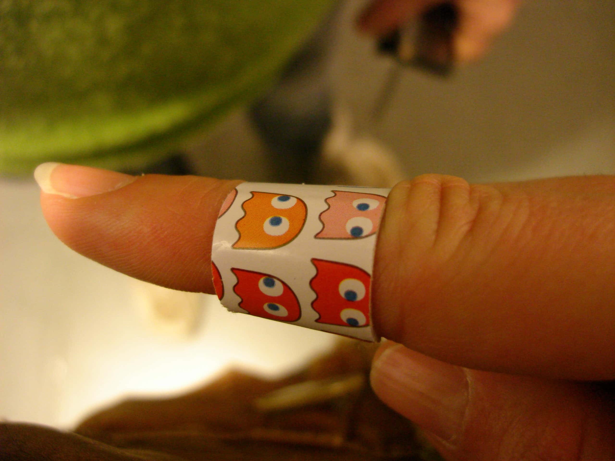 4141215565_fe6c7e8eff_o