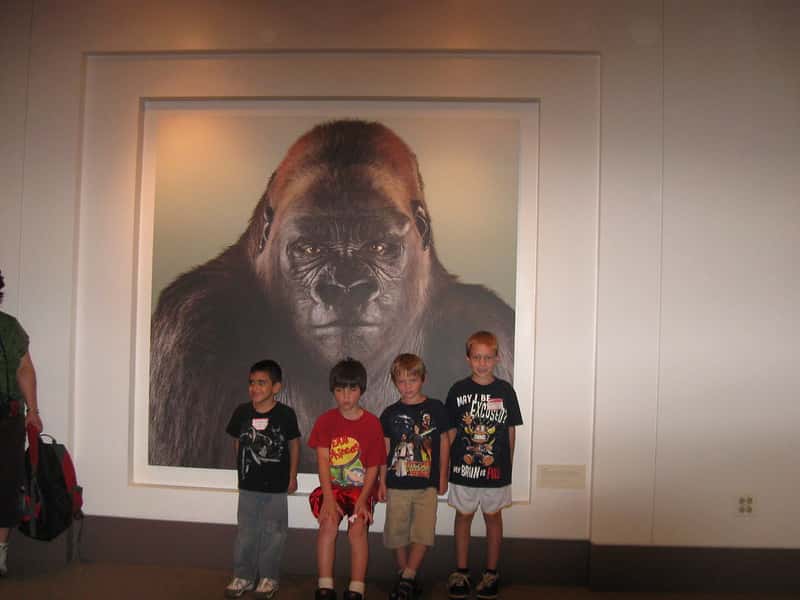 4790434121_fb3948e2f8_c