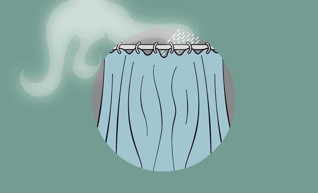 48664197351_cc5d1e402f_b