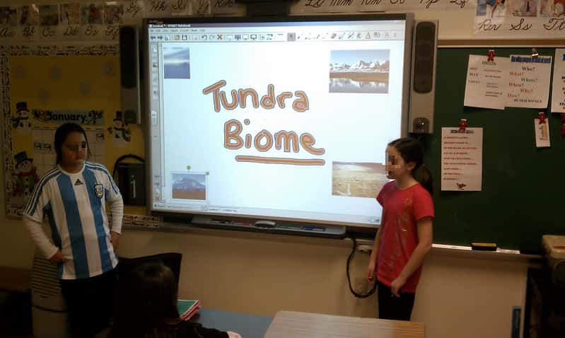 5339132310_0ded52ca36_c