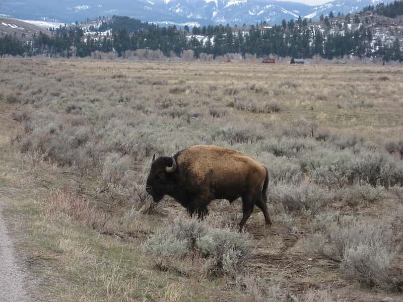 566104445_7cd88ca459_c