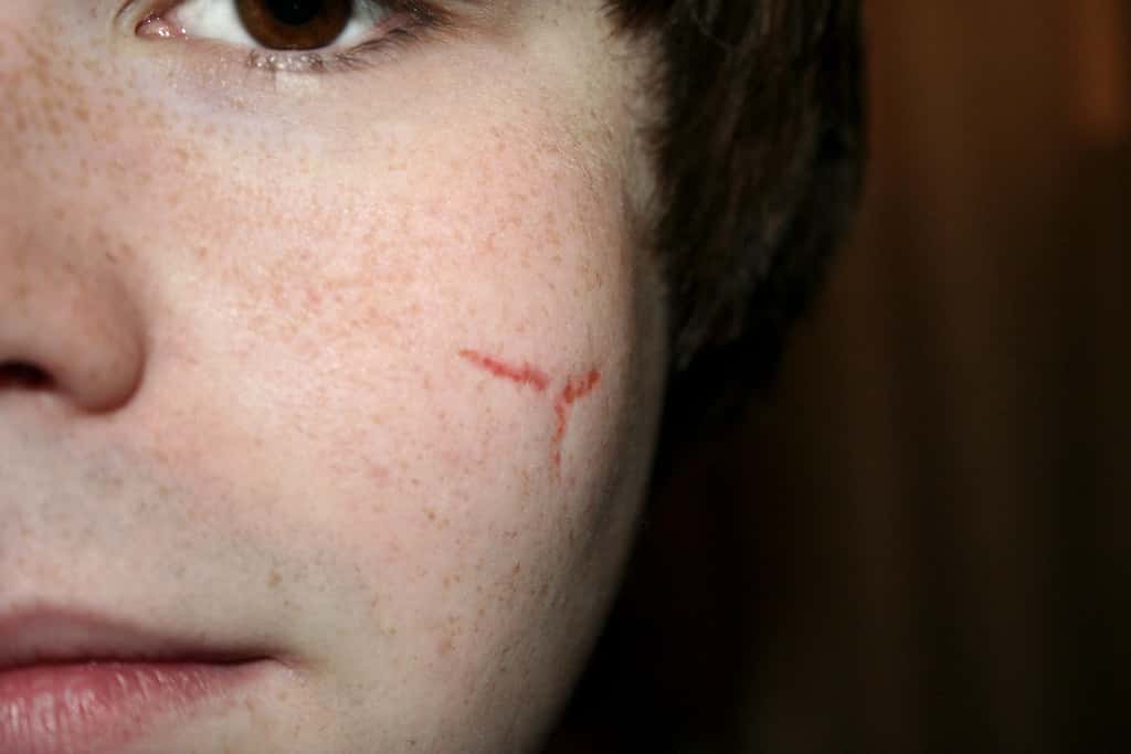 7515648858_40b6e5b43f_b