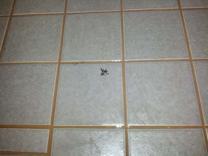 8118633226_f6d1e33ccc_c