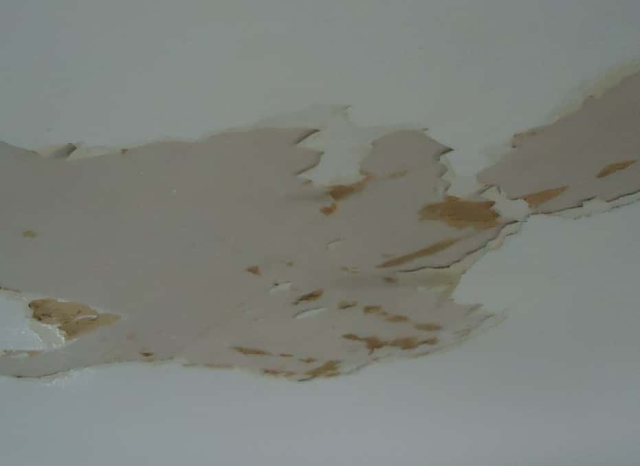 Ceiling_sheetrock_damaged_by_water_so_paint_was_peeling