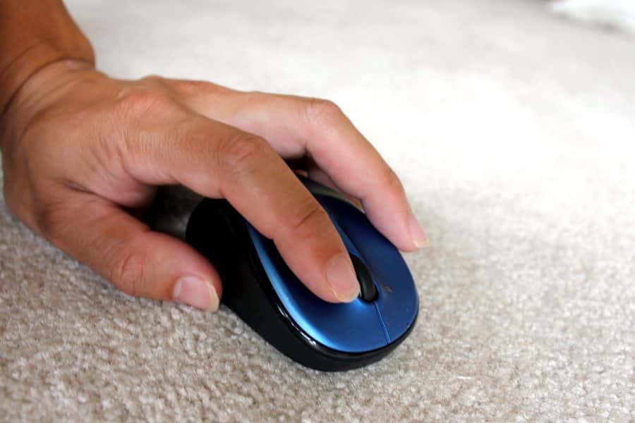 PIXNIO-194634-900x600