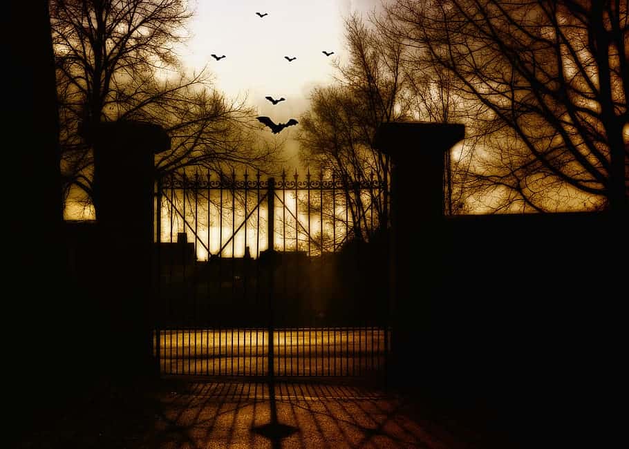 bats-dark-moon-lights-halloween