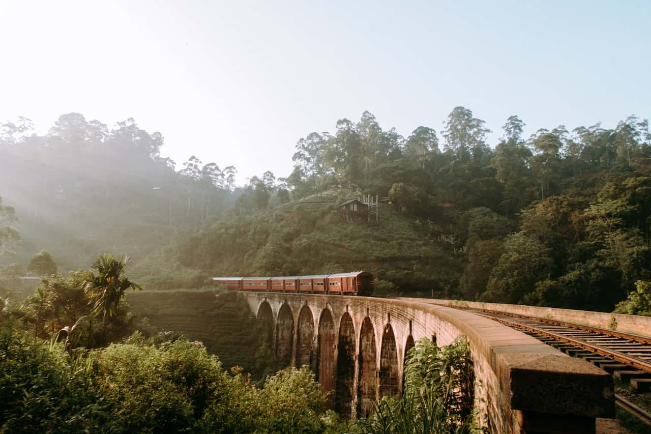 brown-train-rail-surrounded-of-green-leaf-tree-2403209