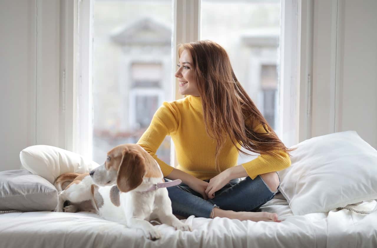 cheerful-young-lady-sitting-on-bed-with-dog-and-looking-away-3884249