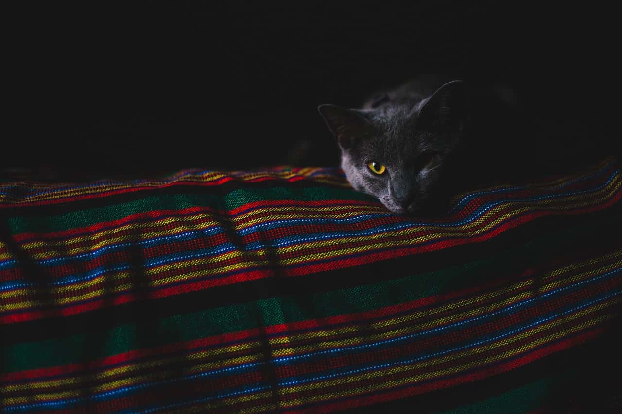dark-2562483_1280