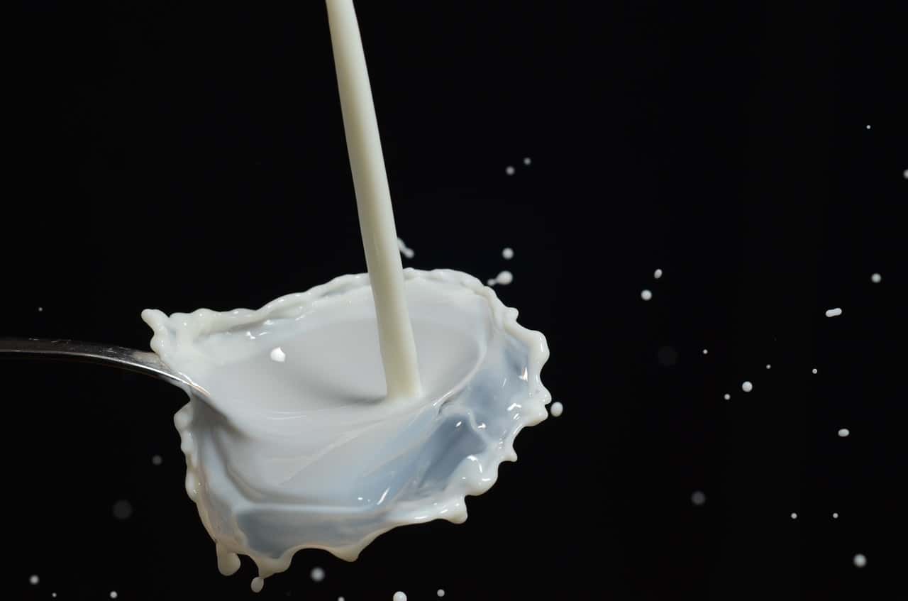 food-milk-liquid-drip-66917