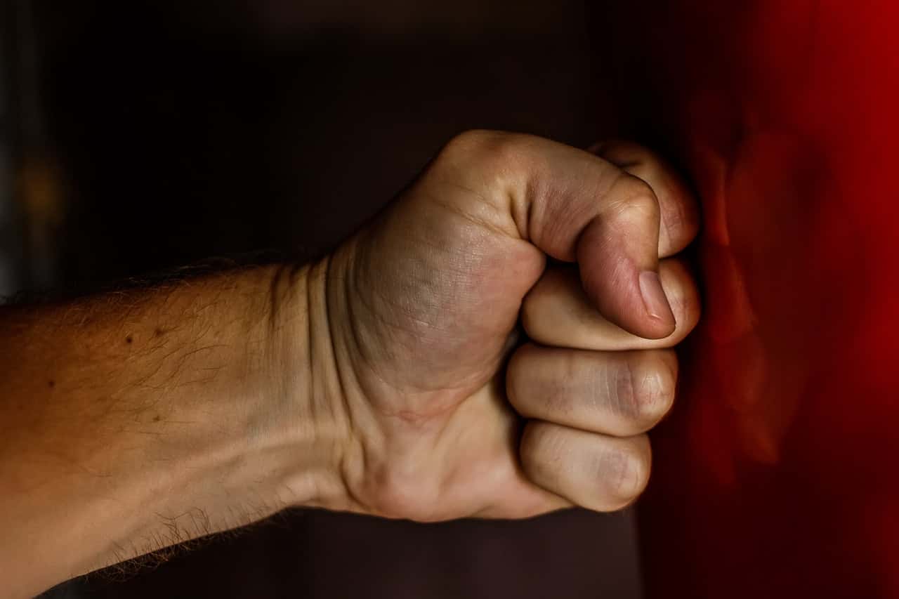 human-fist-163431