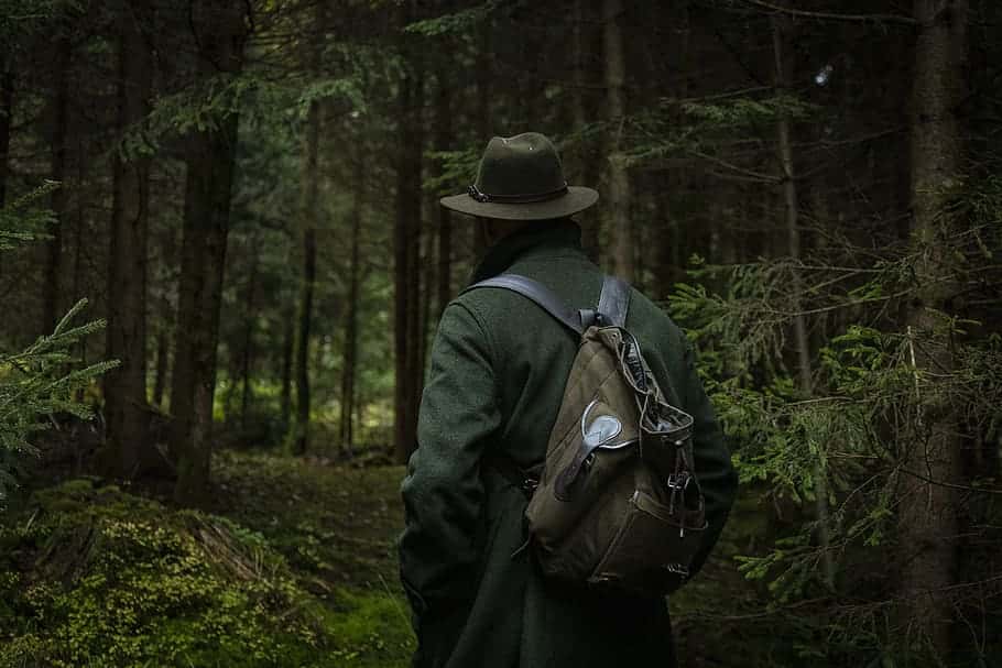 hunt-forest-hunting-nature-hunter-wilderness