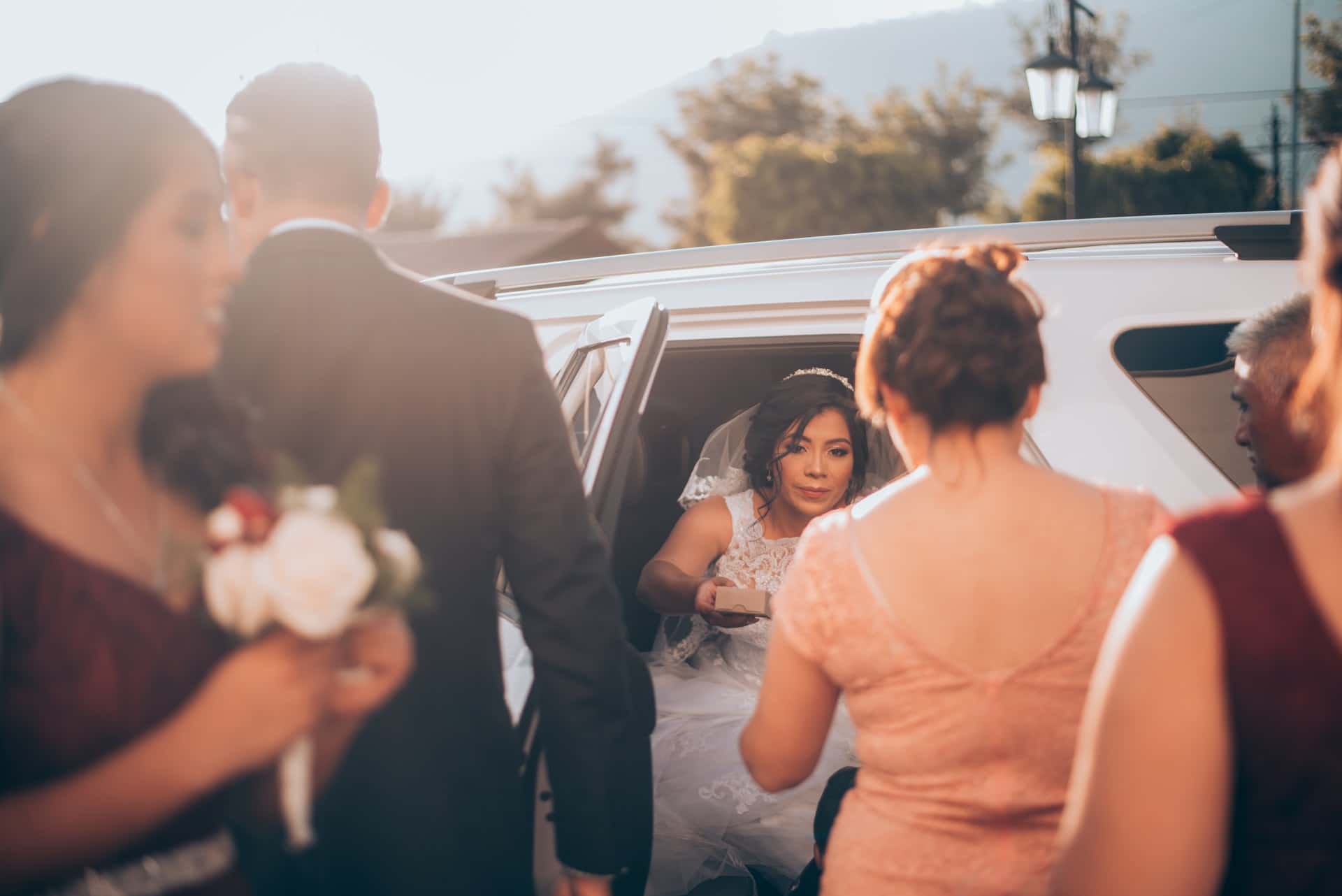 miguel-angel-hernandez-8ZNqzk8O5nw-unsplash