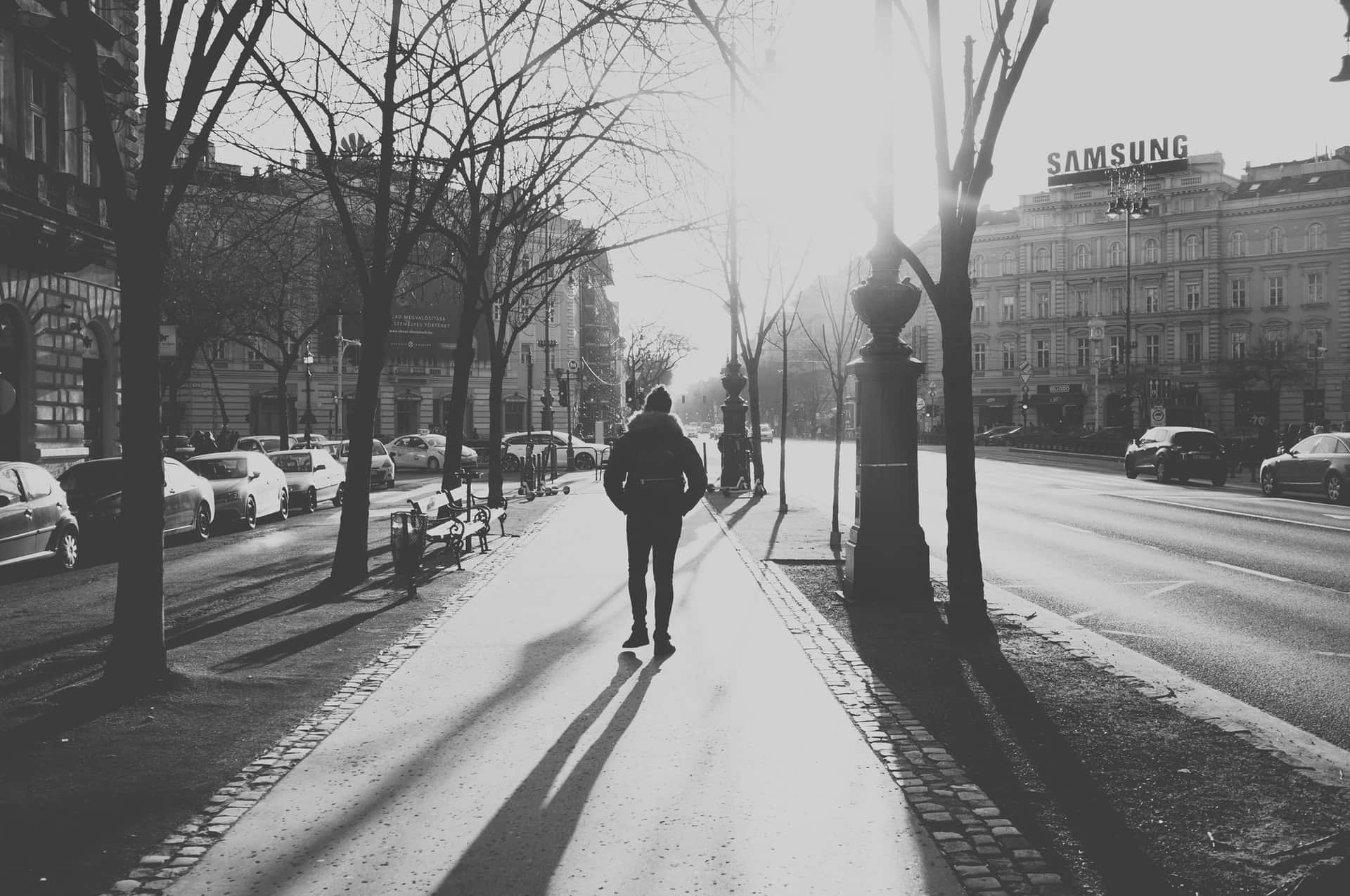 nguyen-minh-NYYu4fNxBEc-unsplash