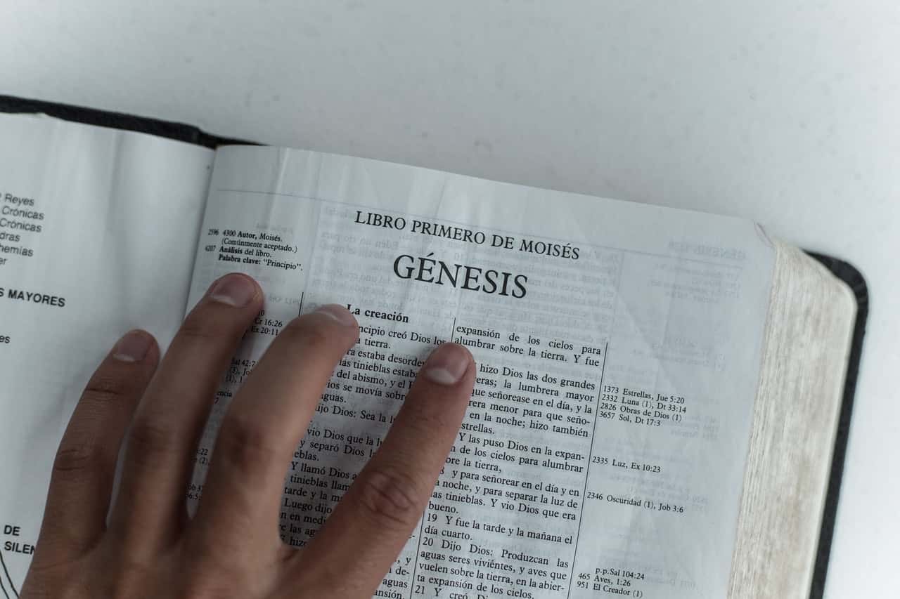 photo-of-person-holding-a-bible-2294873