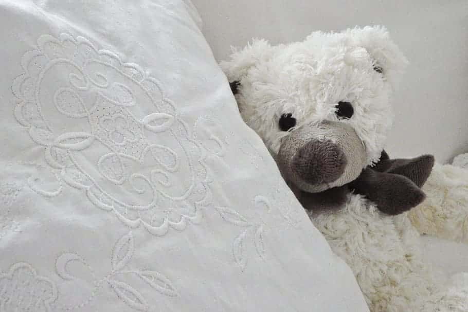teddy-toys-teddy-bear-white