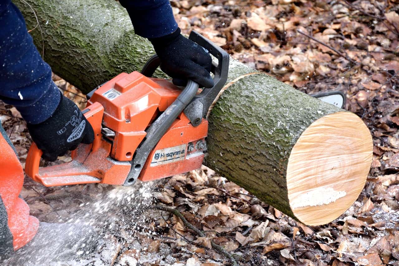 tool-soil-lumber-chainsaw-tree-trunks-lumberjack-1213661-pxhere.com