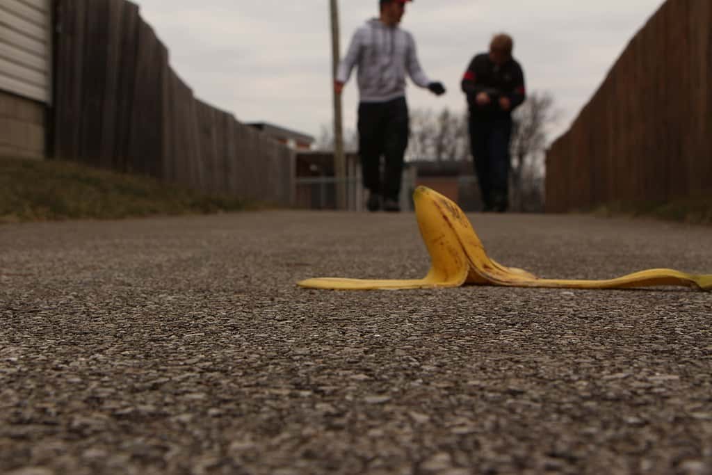 1024px-Banana_peel_on_the_ground