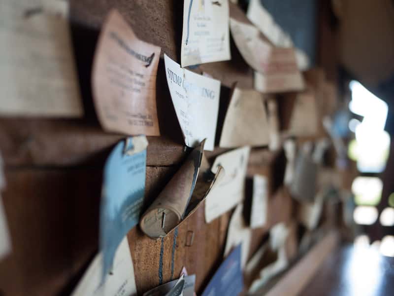 16091673593_552e9ba63e_c