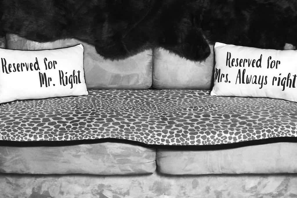 26025399218_303c0d0fc2_b