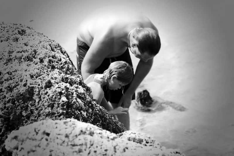 34445761266_d7d4aa076b_c