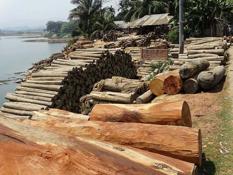 Lumber_Yard_on_Lake_Kaptai_(13240738665)