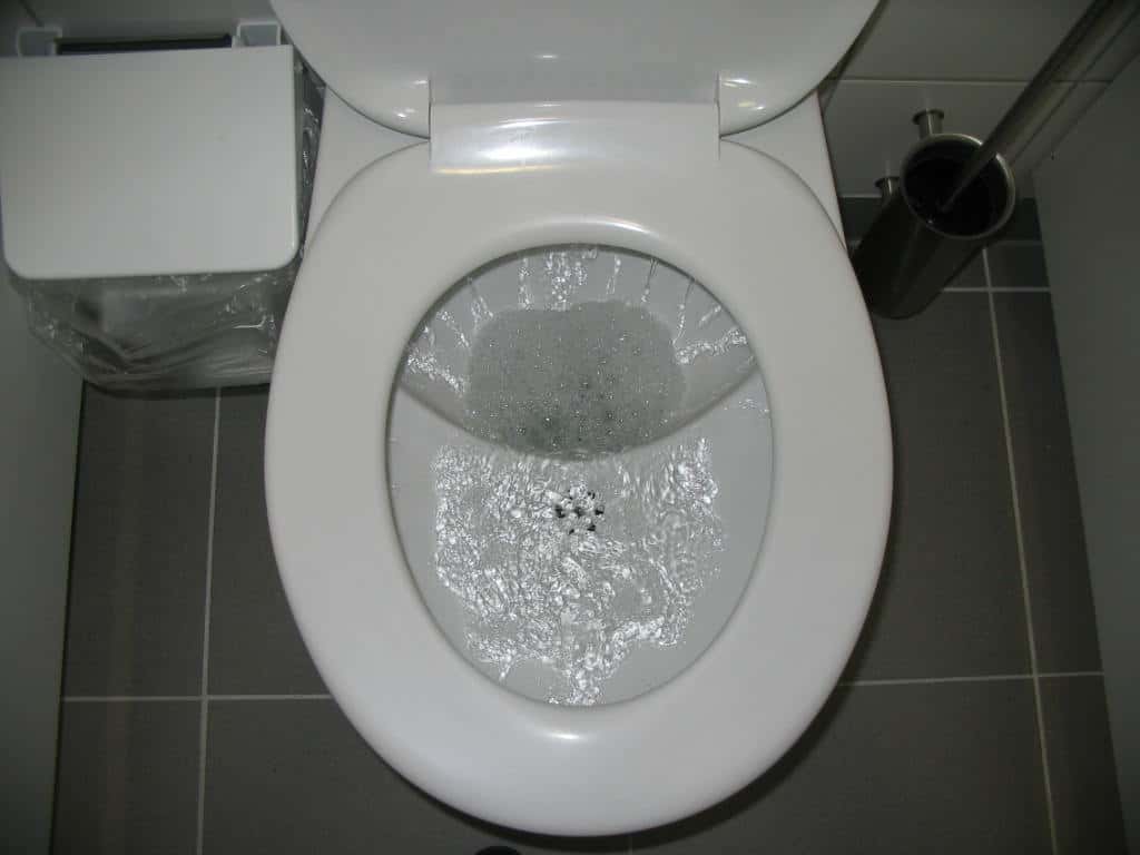 UD_flush_toilet_during_flushing_(3110646027)