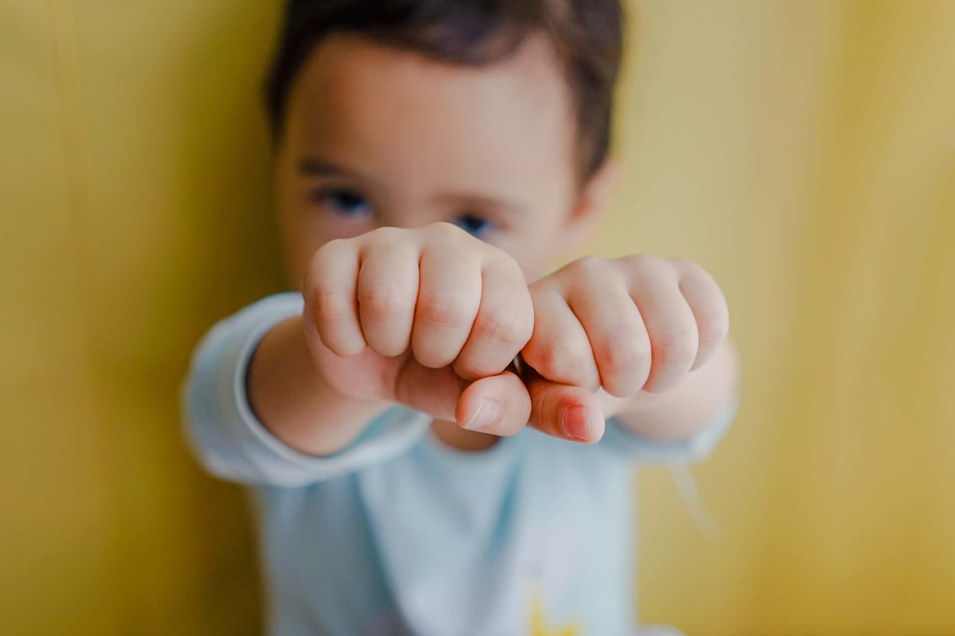 bady-abbas-6FtRVxtsiIc-unsplash