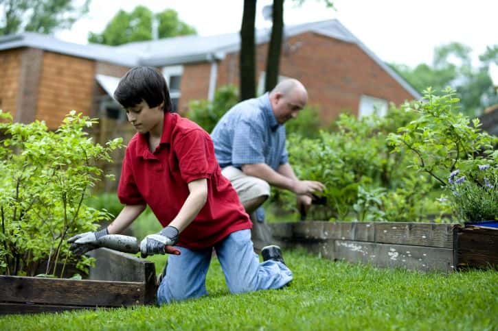 father-and-son-fertilizing-garden-725x483