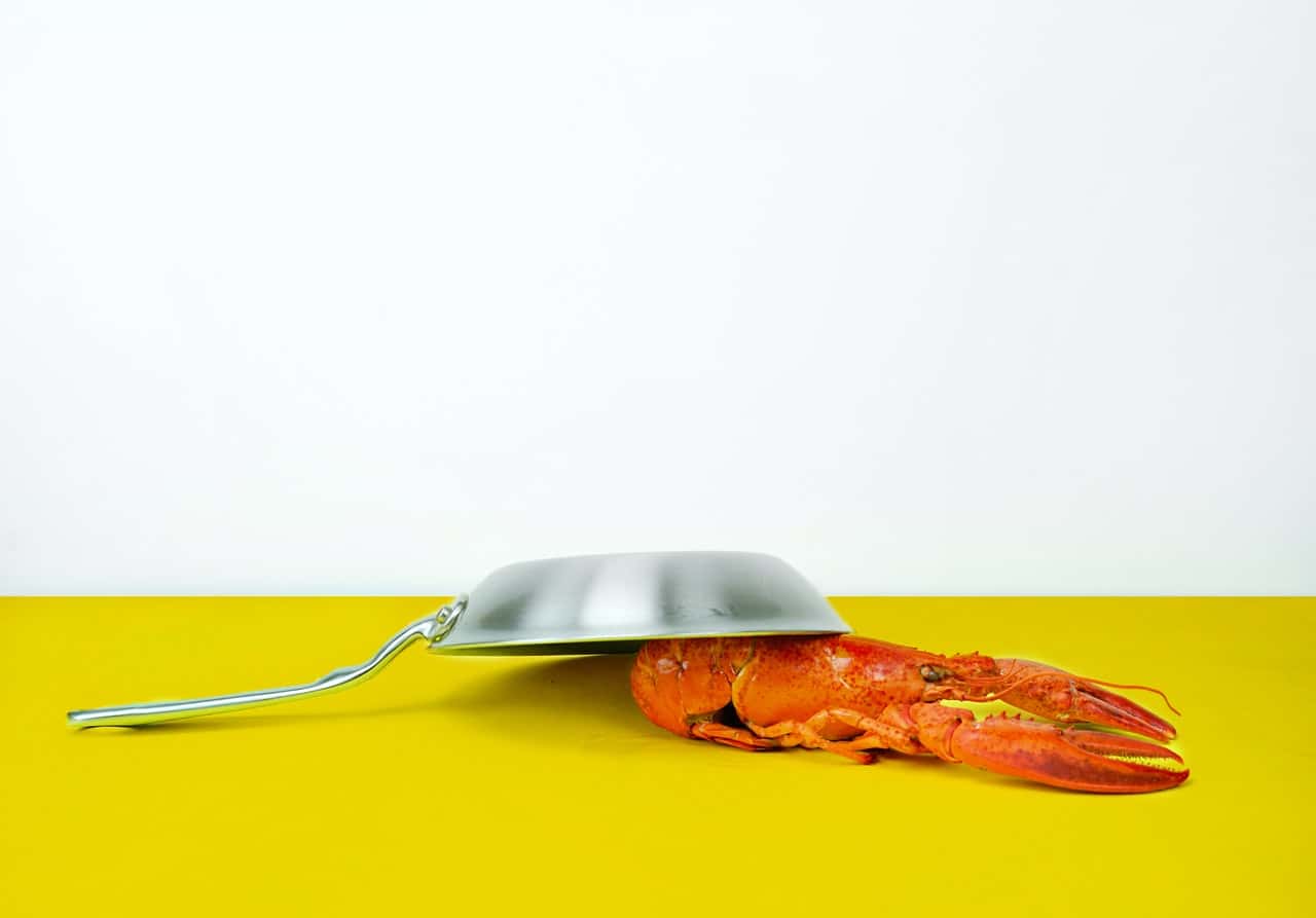 gray-steel-cooking-pan-near-orange-lobster-940301