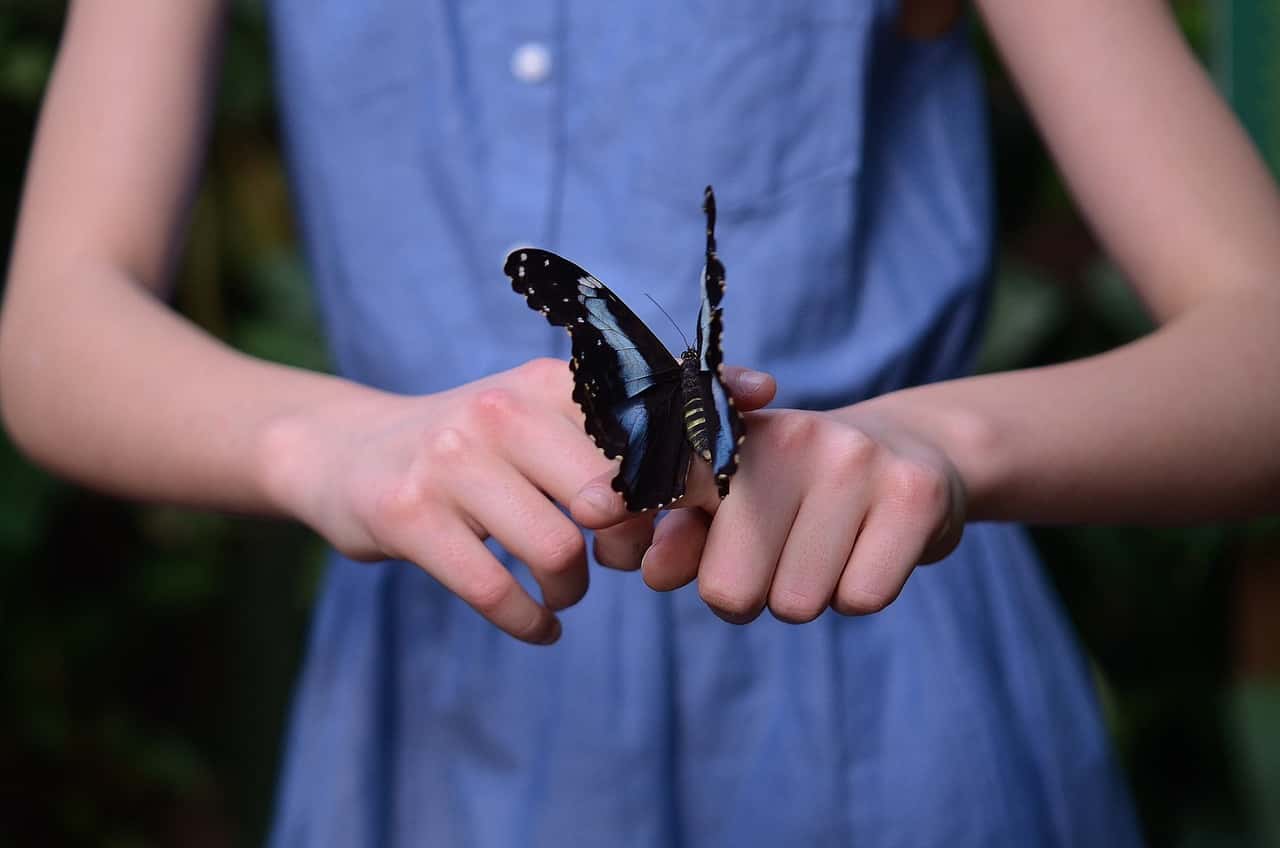 hand-nature-girl-photography-kid-animal-976721-pxhere.com