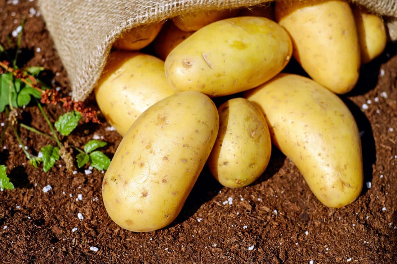 potatoes-144248