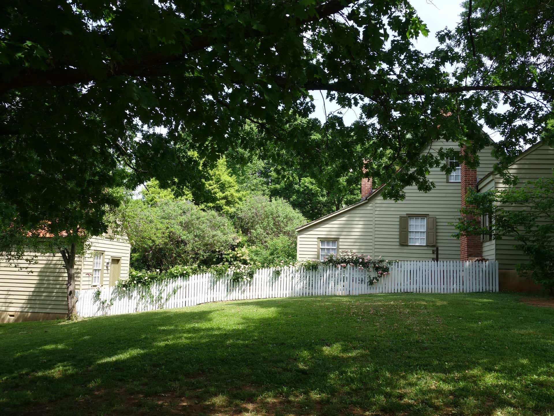 rick-lobs-1yUZToI63Dg-unsplash