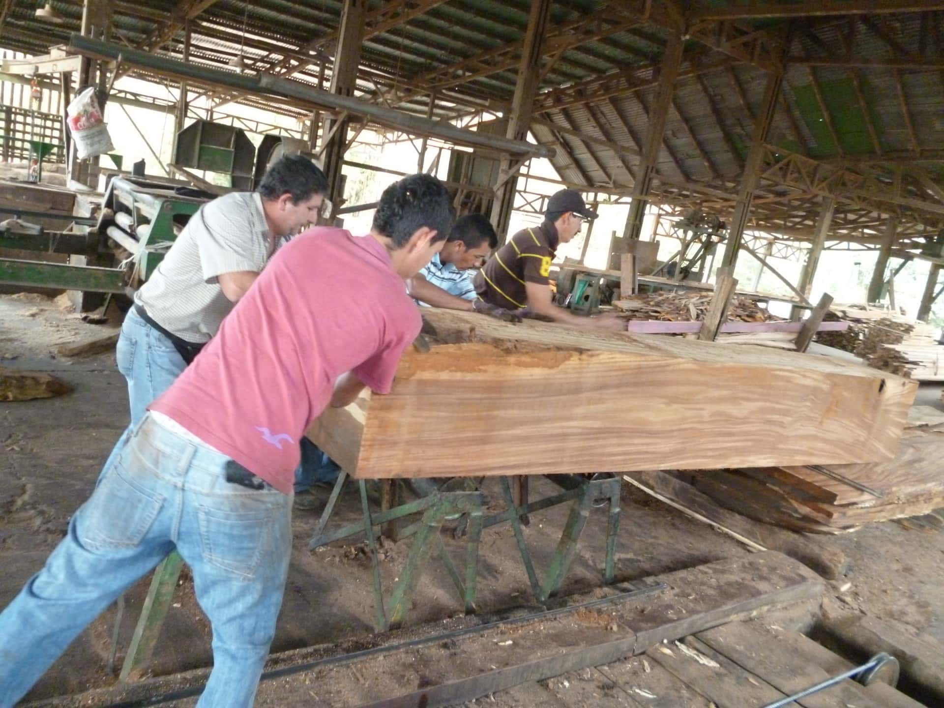 sawmill