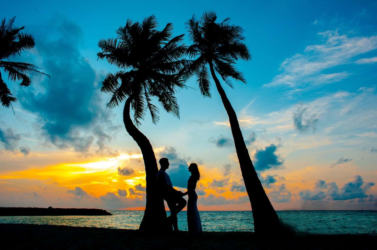 silhouette-photo-of-male-and-female-under-palm-trees-1024981