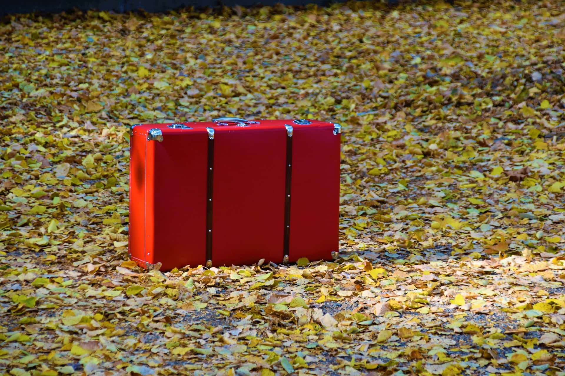 waldemar-brandt-hD_xez_q2og-unsplash