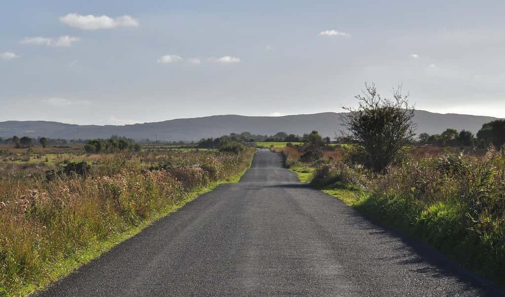 10229887163_20c9fe794c_b