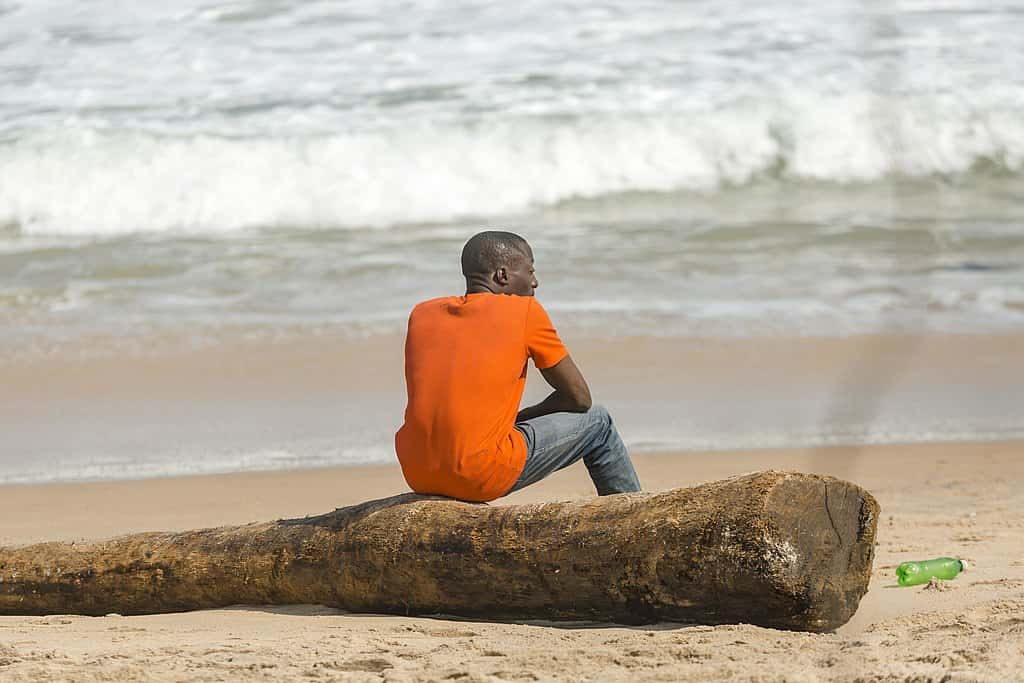 1024px-Man-sitting-on-a-log-of-wood-at-the-beach