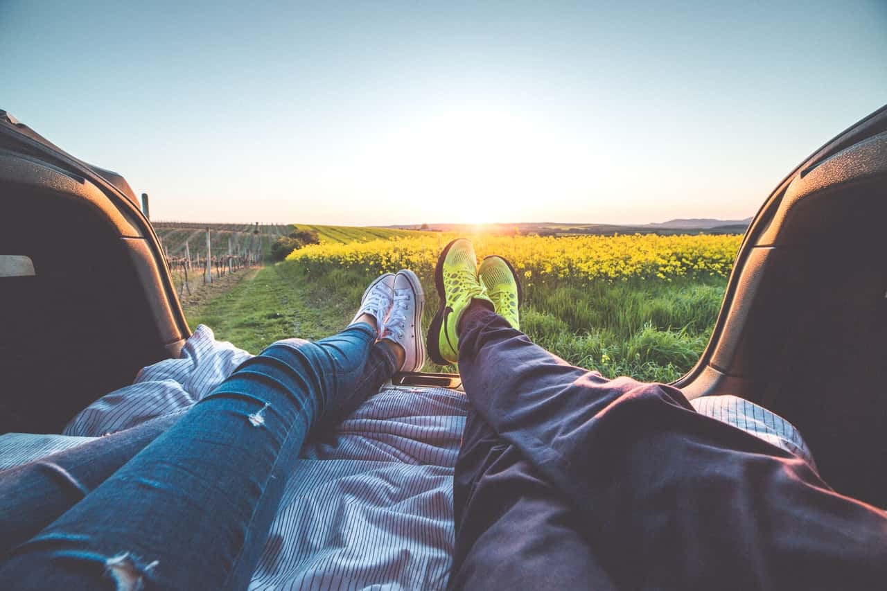 2-people-sitting-with-view-of-yellow-flowers-during-daytime-196666