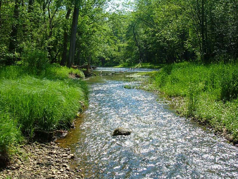 Big_Darby_Creek