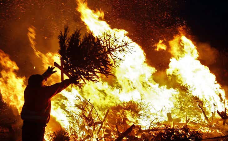 Christmas_tree_farm_fire