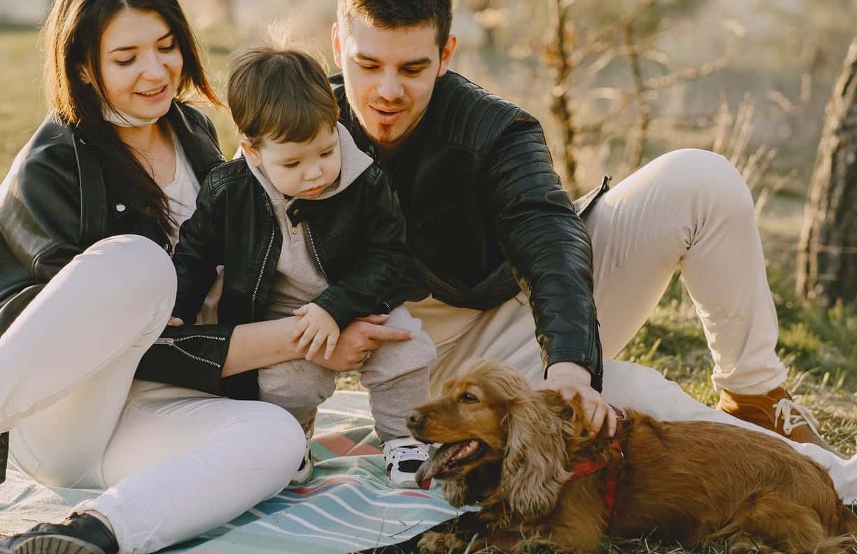 What To Consider Before Getting A Family Dog