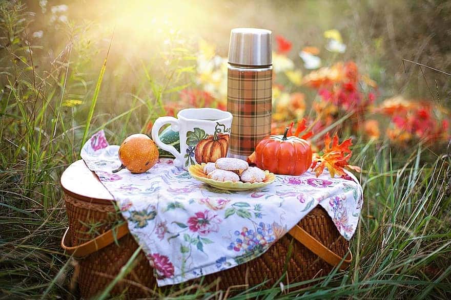 autumn-tea-fall-picnic-drink-orange-cookies-treat