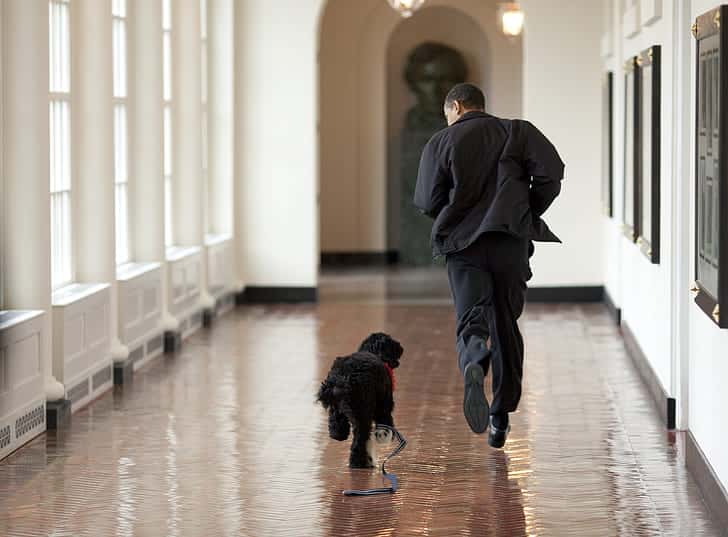 barack-obama-and-bo-play-run-family-dog-preview