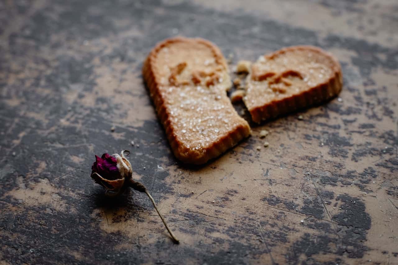 dry-rose-flower-next-to-broken-heart-shaped-cookie-3731878