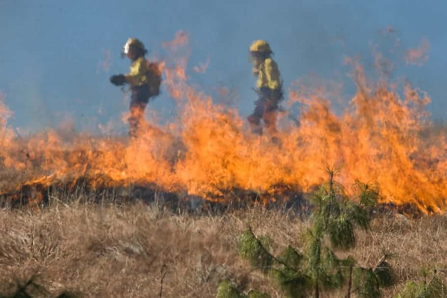 firefighter-wildfire-grass-fire-burn
