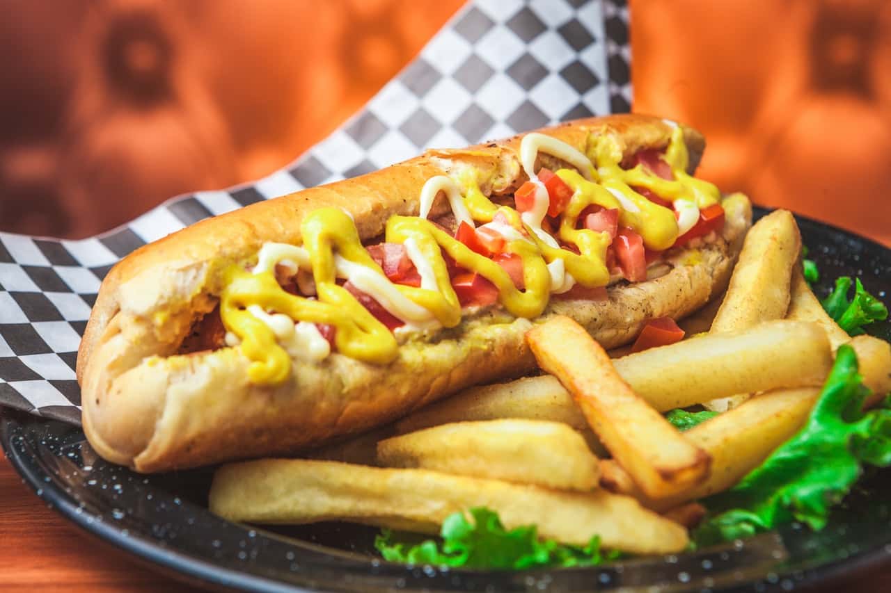 fried-fries-with-burger-on-ceramic-plate-3052248