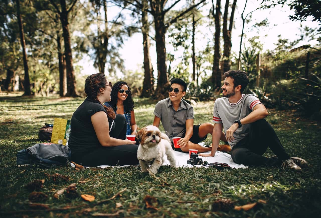 group-of-people-sitting-on-white-mat-on-grass-field-745045